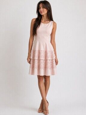 New Scuba Lace Blush Pink Coquette Soft Girl Balletcore Dress Alfani NEW Small